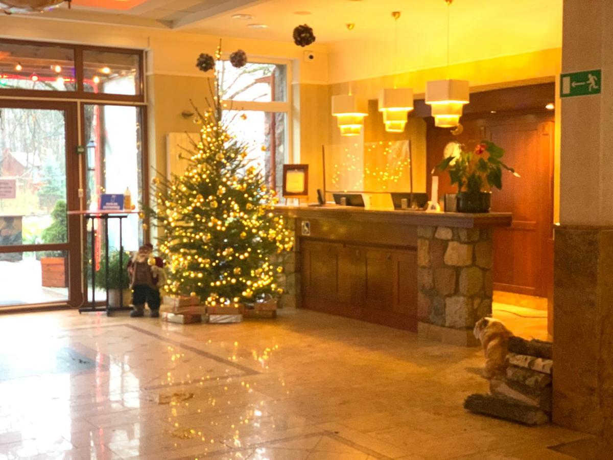Hotel Albatros Serwy Екстериор снимка